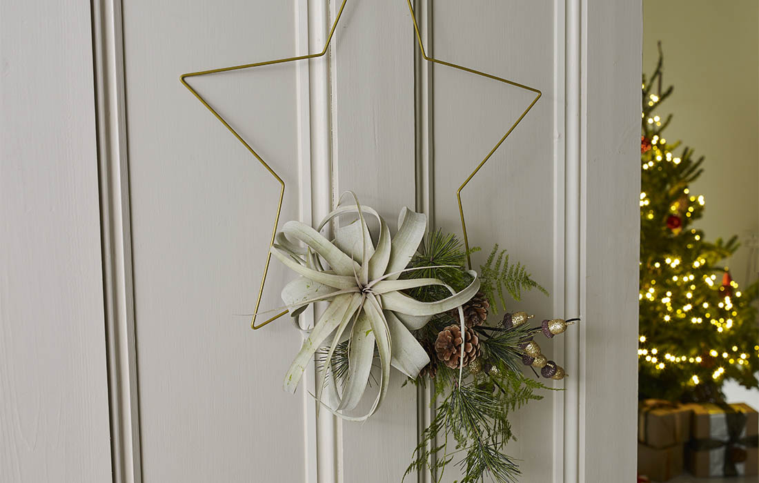 Create A Contemporary Star Wreath Best Ever Christmas